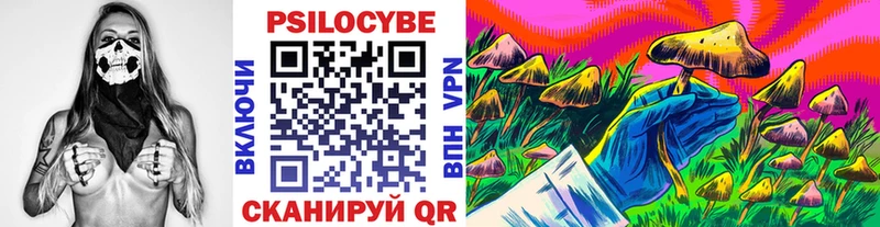 МЕГА tor  Краснодар  Псилоцибиновые грибы прущие грибы 